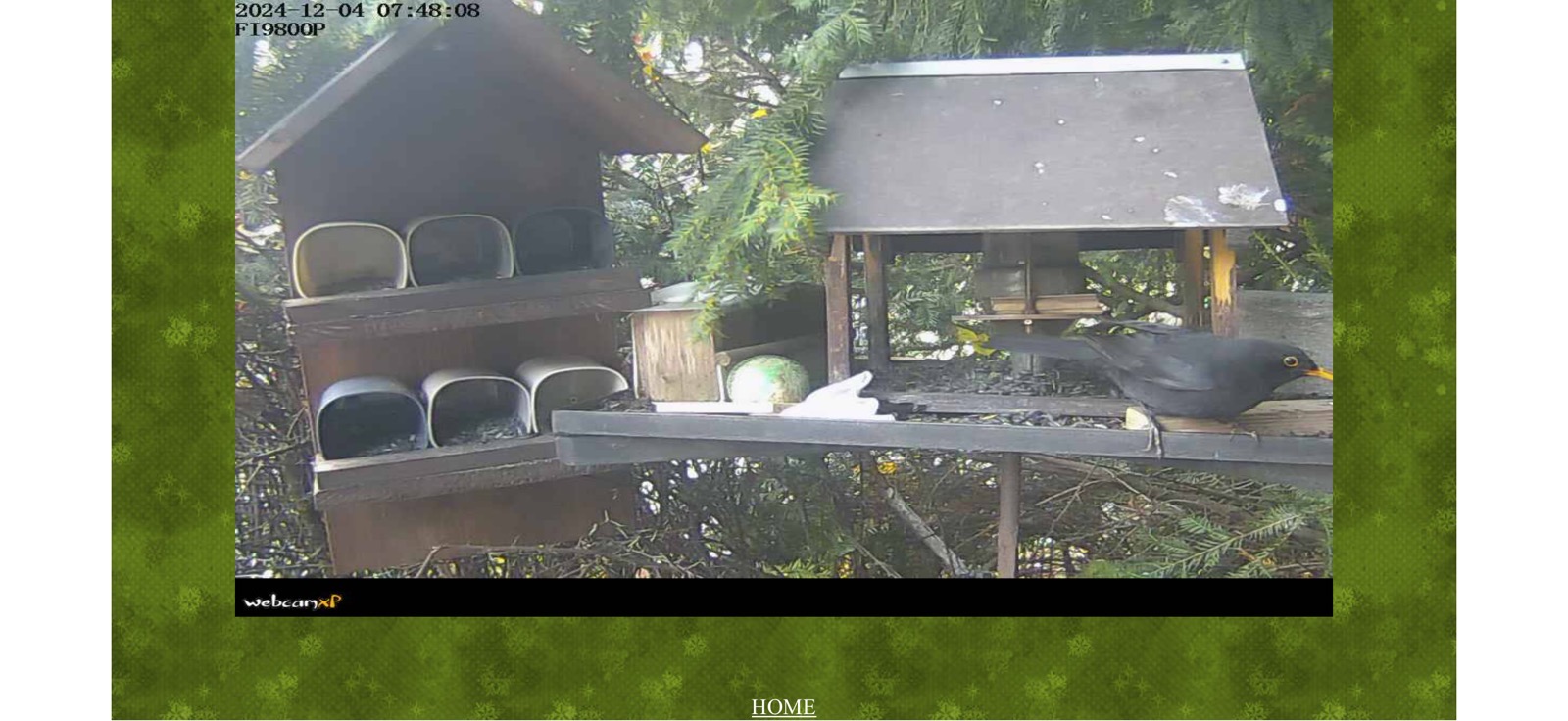 Alt 38